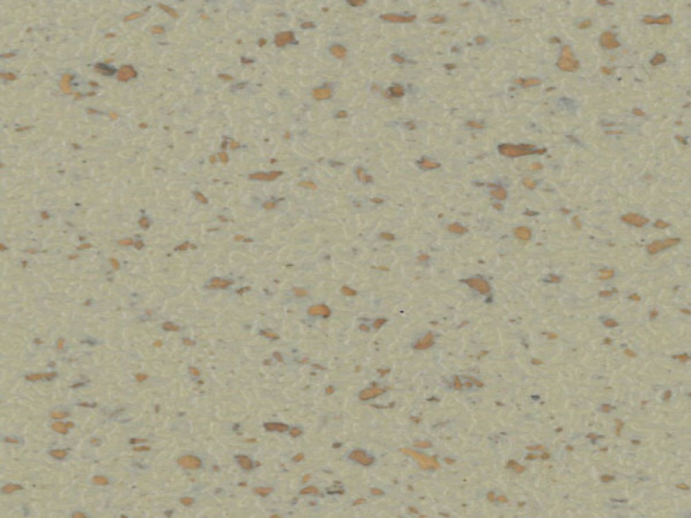 CHIP-CORK-3T_CTC10