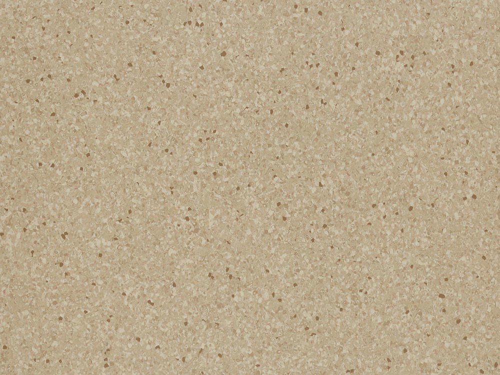 306036019
